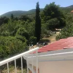 Vital نيغيزيني